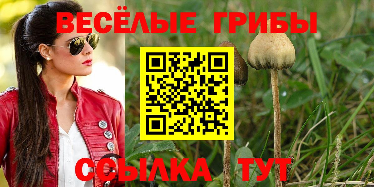 Галлюциногенные грибы GOLDEN TEACHER  Вход с VPN  Саянск 
